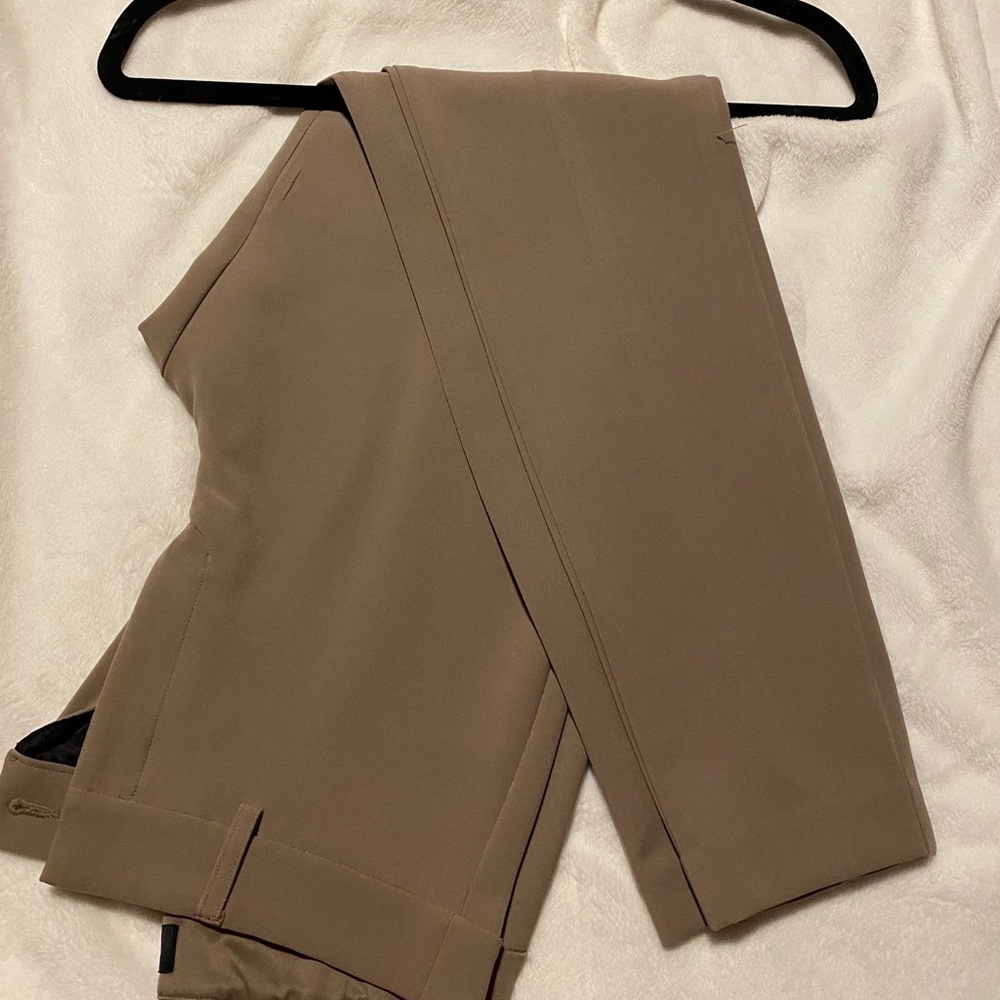 Express Dress Pants